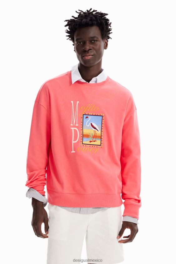 Desigual hombres sudadera con bordado de flamencos VZ26R01638 ropa