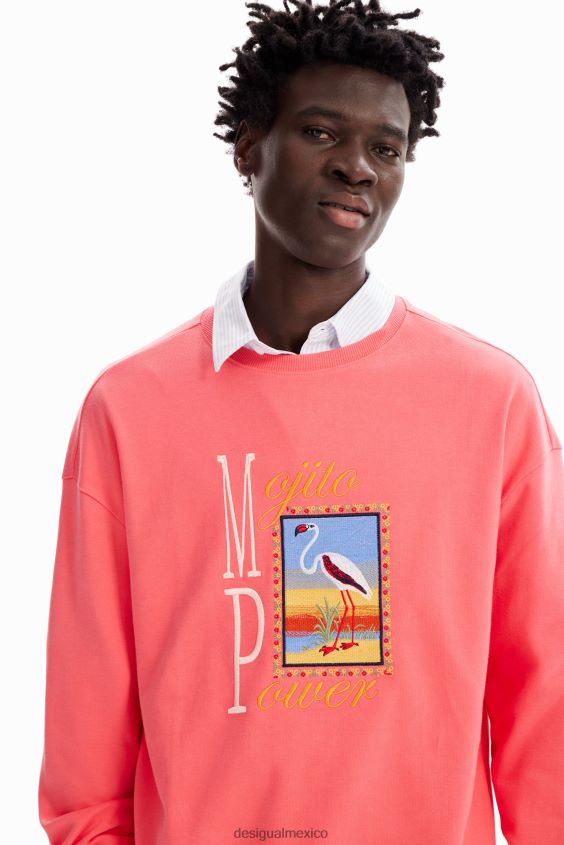 Desigual hombres sudadera con bordado de flamencos VZ26R01638 ropa