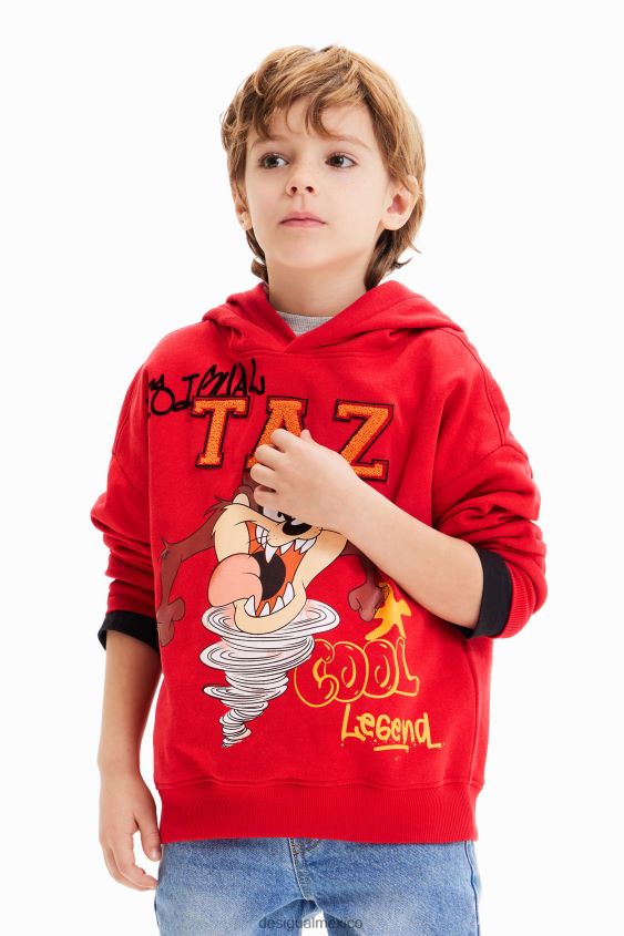 Desigual chico sudadera con capucha de looney tunes VZ26R01726 ropa