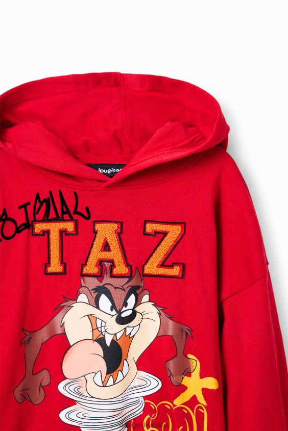 Desigual chico sudadera con capucha de looney tunes VZ26R01726 ropa
